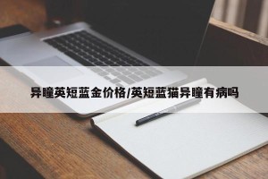 异瞳英短蓝金价格/英短蓝猫异瞳有病吗