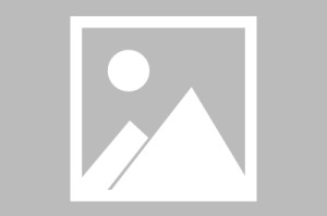 现最新疫情:最新疫情动态